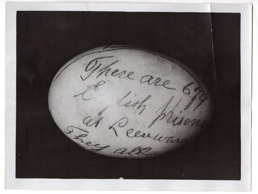Wwi British Internees Holland Smuggle Out Message On Egg Original News Photo